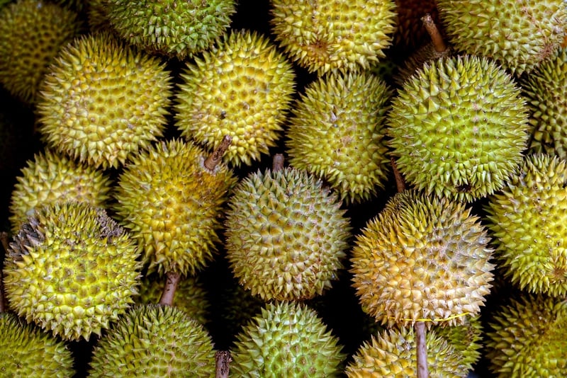 Durian - Southeast Asia